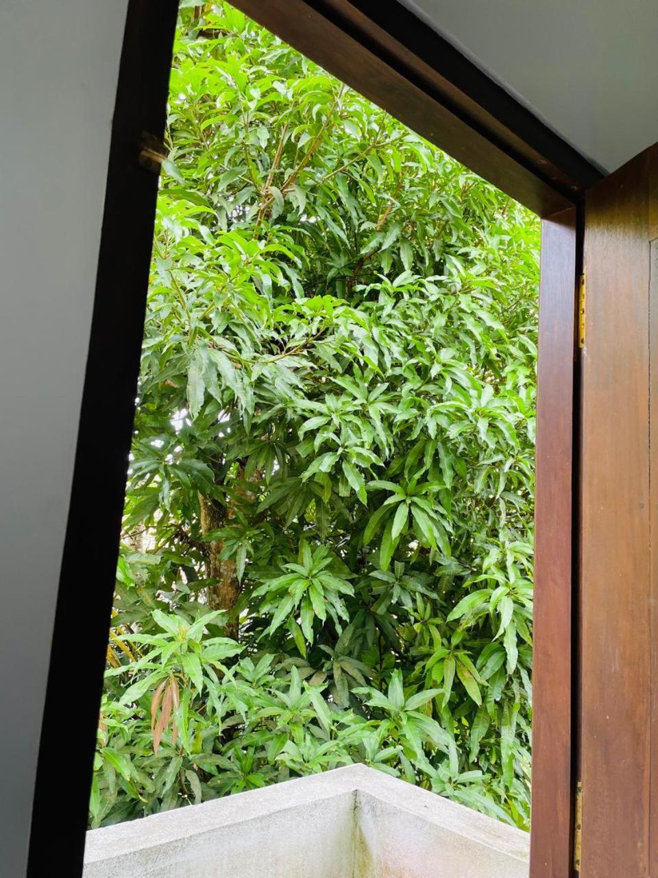 Chami'S Home Stay Mirissa Exterior photo