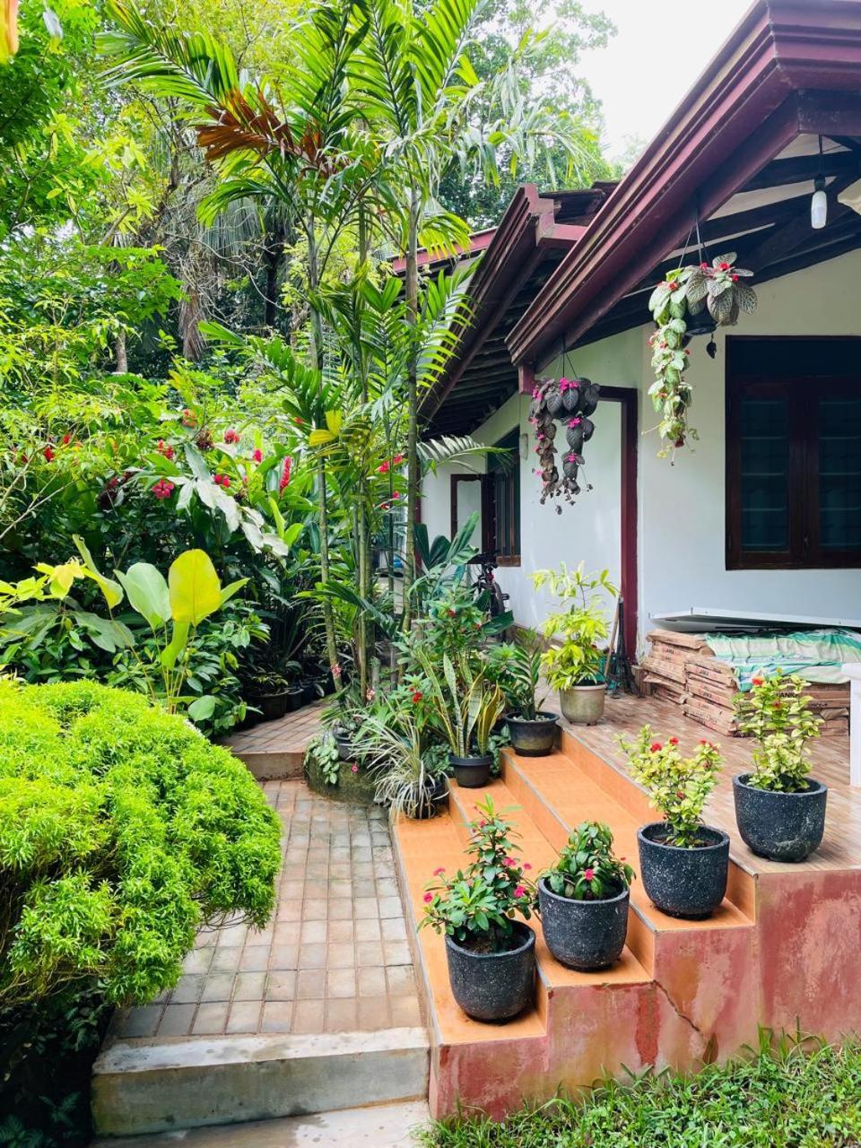 Chami'S Home Stay Mirissa Exterior photo